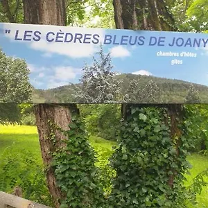 Gasthof Les Cedres Bleus De Joany, Viviez